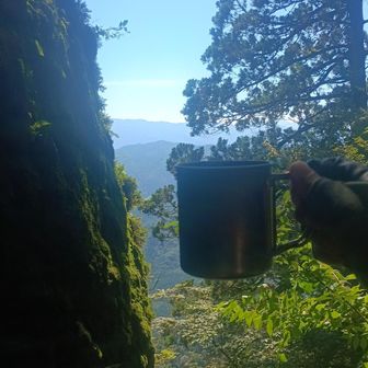 奥の院で休憩
左側の岩肌に
びっしり苔と岩松があり
癒やされました✨