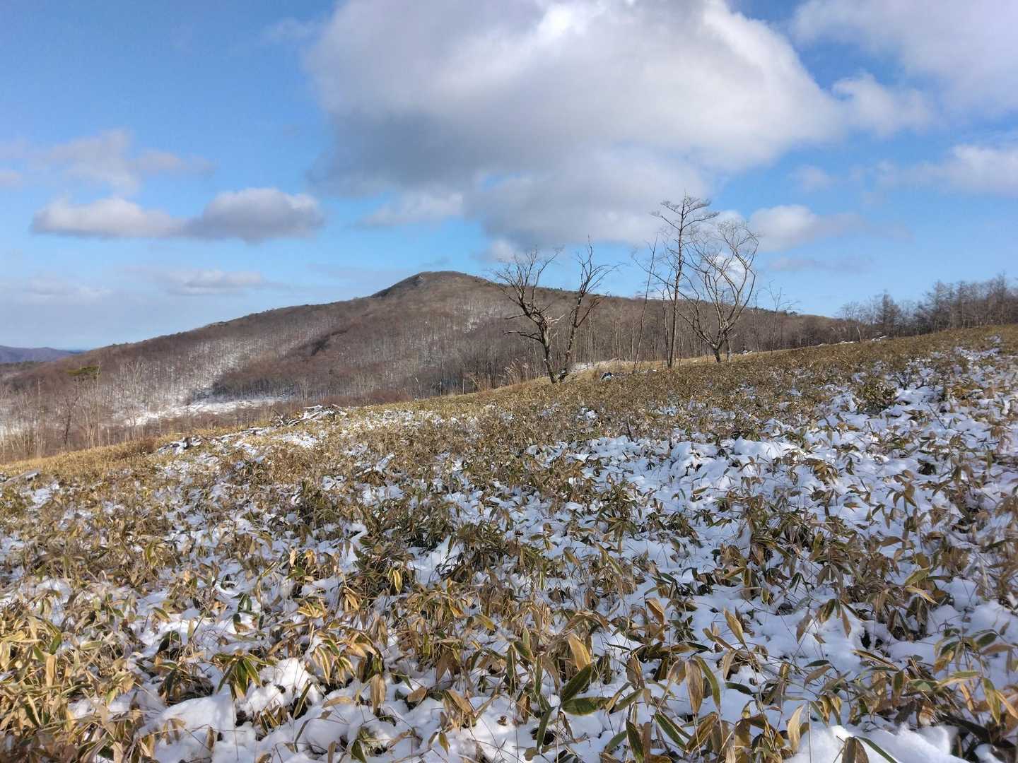氷上山 往復コースの写真