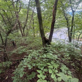 外の道路は豆腐配達に使ってるあの道ですよ