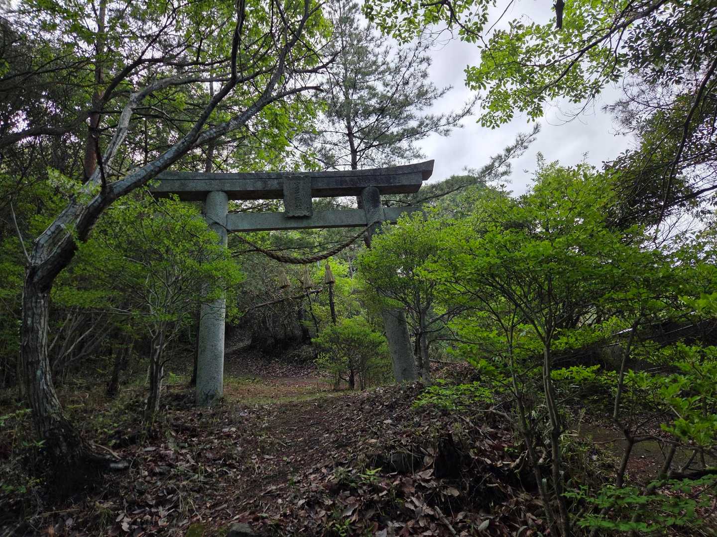 くぐります😊