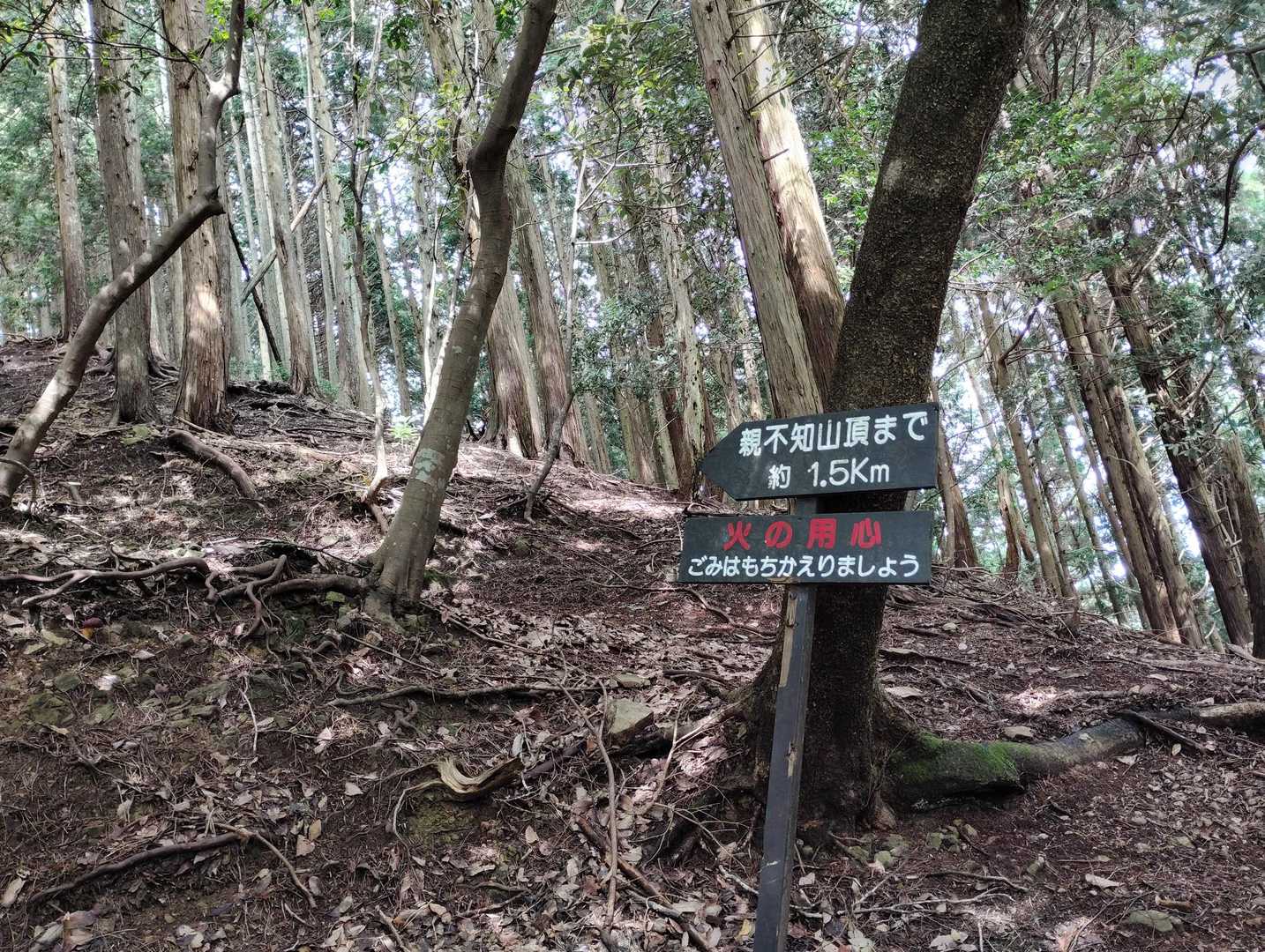 親不知 周回コースの写真