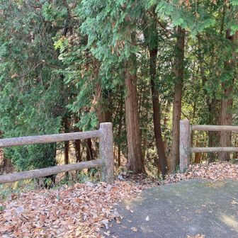 ここから山頂に向かいます