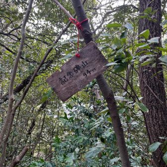 グレー
記念碑山山頂