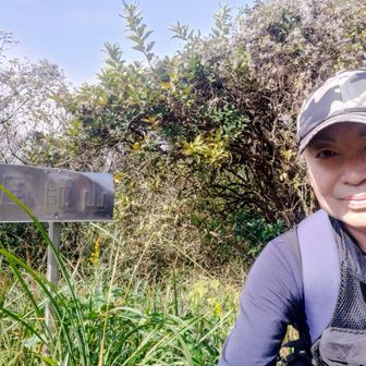 木々に覆われ眺望がなく残念