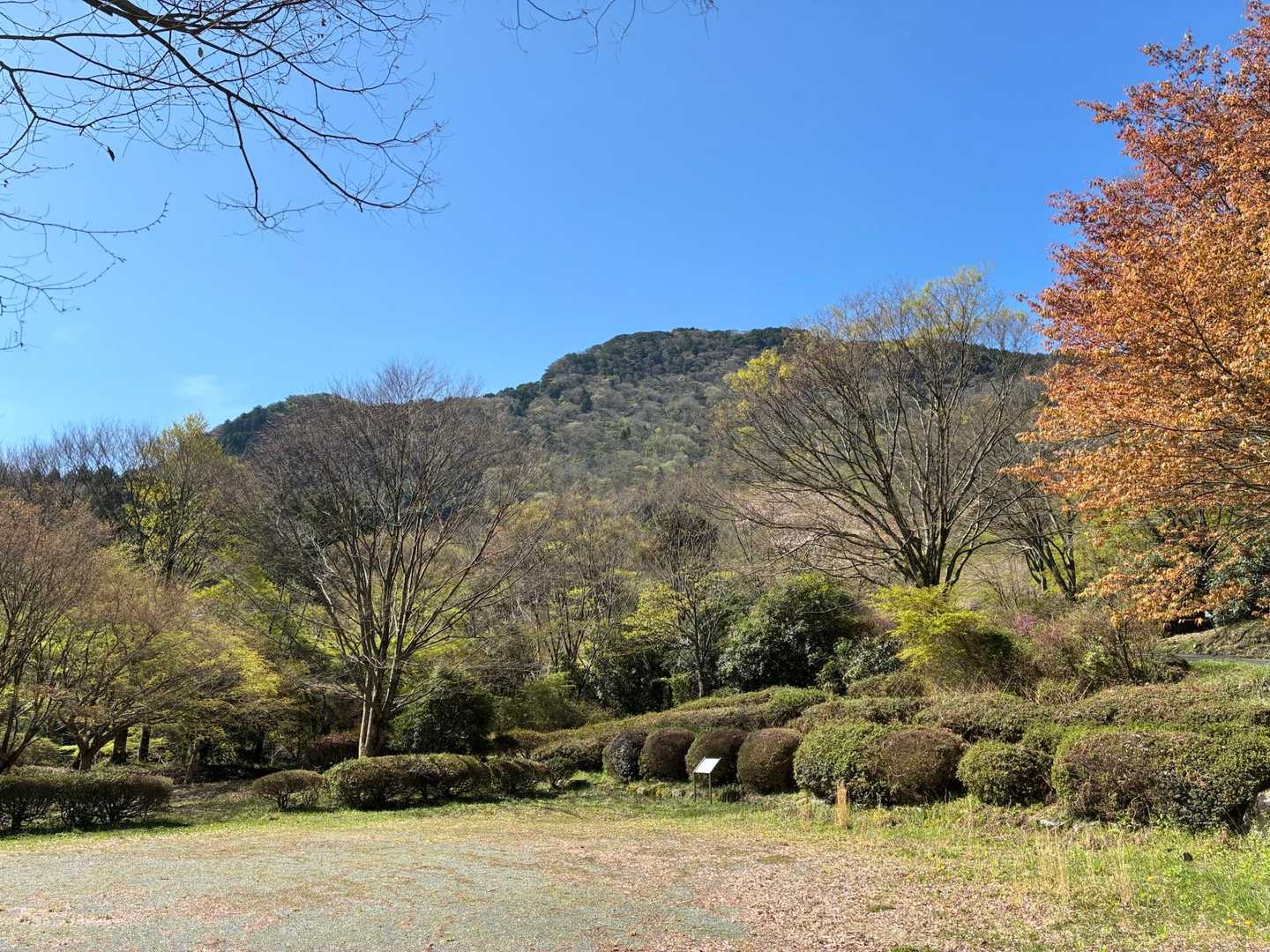 登山口に到着🚗💨
お目当てはヤマザクラ🌸だったのだが、、、🙄