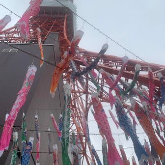 🗼東京タワーと🎏鯉のぼり