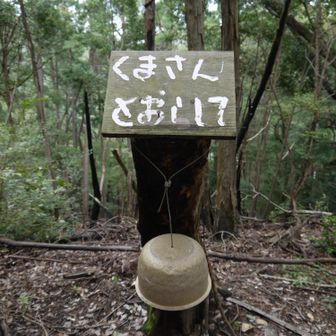 熊さん、お願いします。