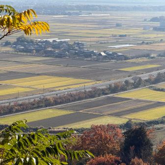 ここ田んぼアート見えるところかな