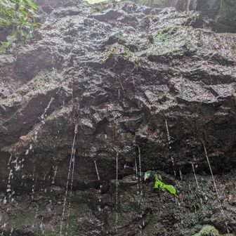 湧き出る冷たい天然水で腕を冷やし、顔を洗い、手ぬぐいを濡らして…💧
あ〜気持ちいい〜😆