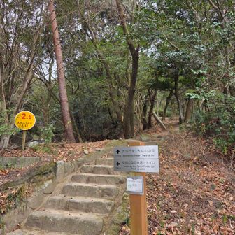 お久しぶりな登山口です😊
総合公園🅿️から少し歩きました。
