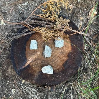 登山口まで降りてきたら
「お疲れ様」って 切り株アートが言ってくれた 笑
