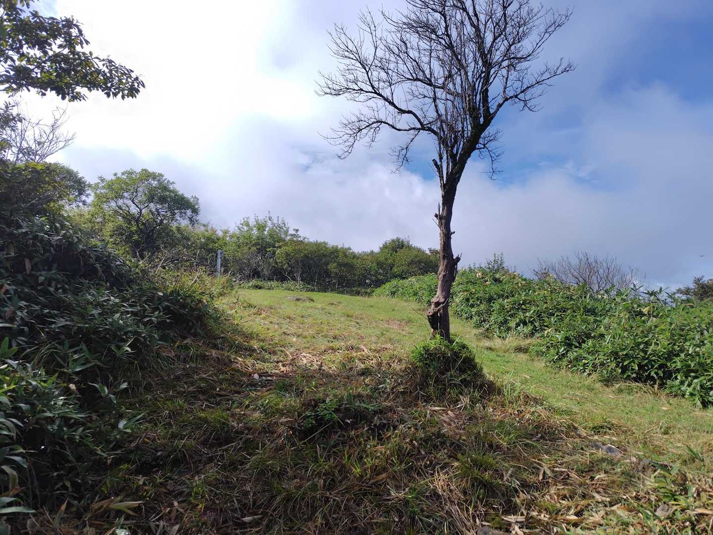 笠菅峠-泉山 往復コースの写真