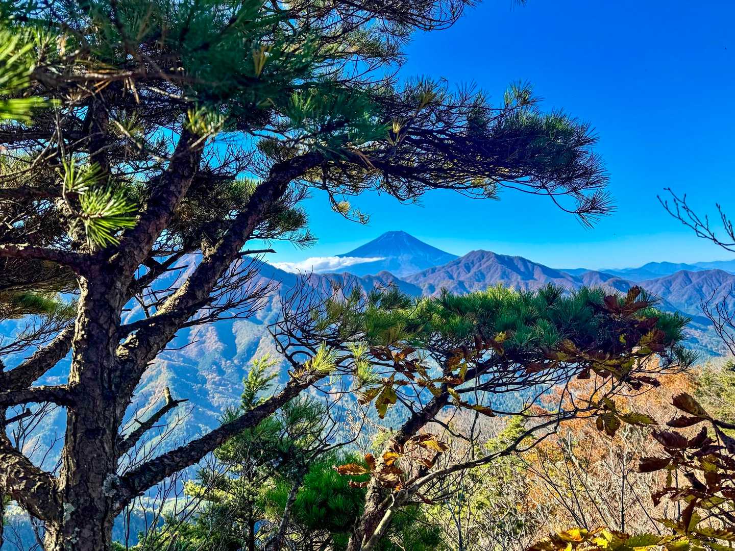 道坂隧道入口バス停-道坂峠-今倉山-松山-二十六夜山 周回コースの写真