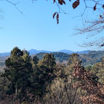 萩の峰から大岳と御前山
