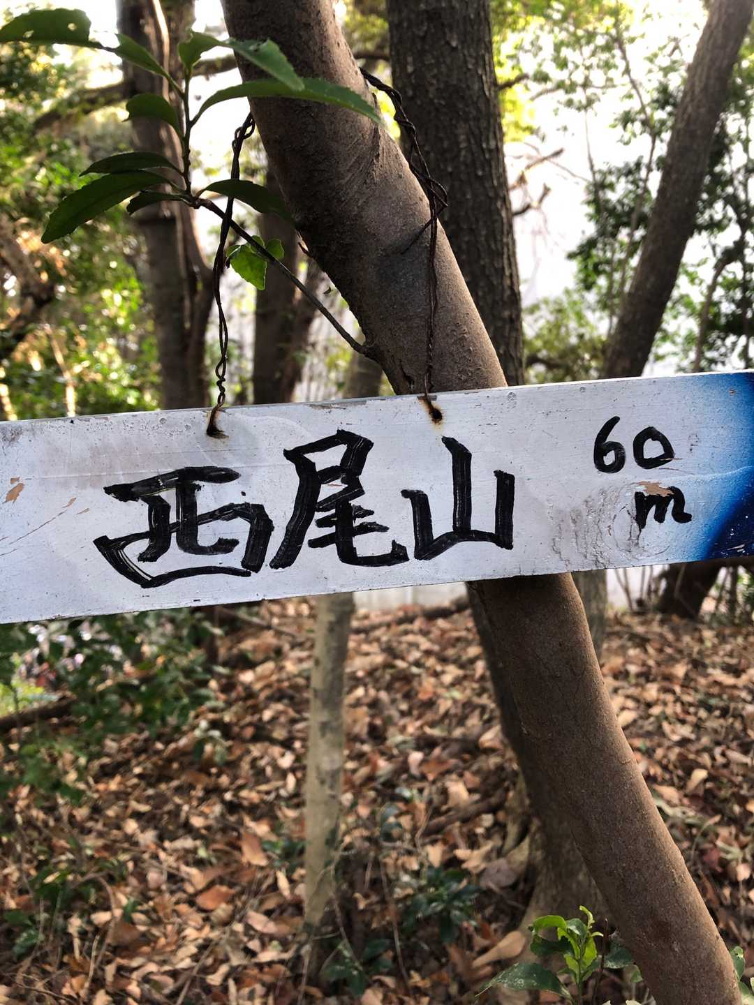 西尾山山頂です⛰
・・フォローさせて頂いている魔王様は見つけられなかったようですねー😌　残念でした😁