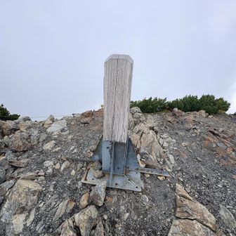 お隣の小赤石岳
｢小｣だけど3000mこえてる