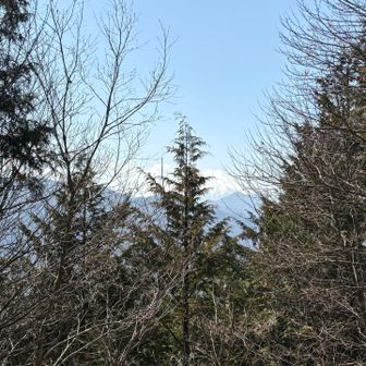 ここからはほとんど見えません