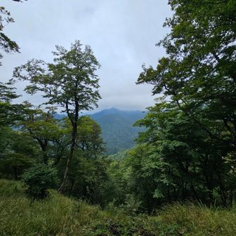 富士山ビュースポット
らしいです