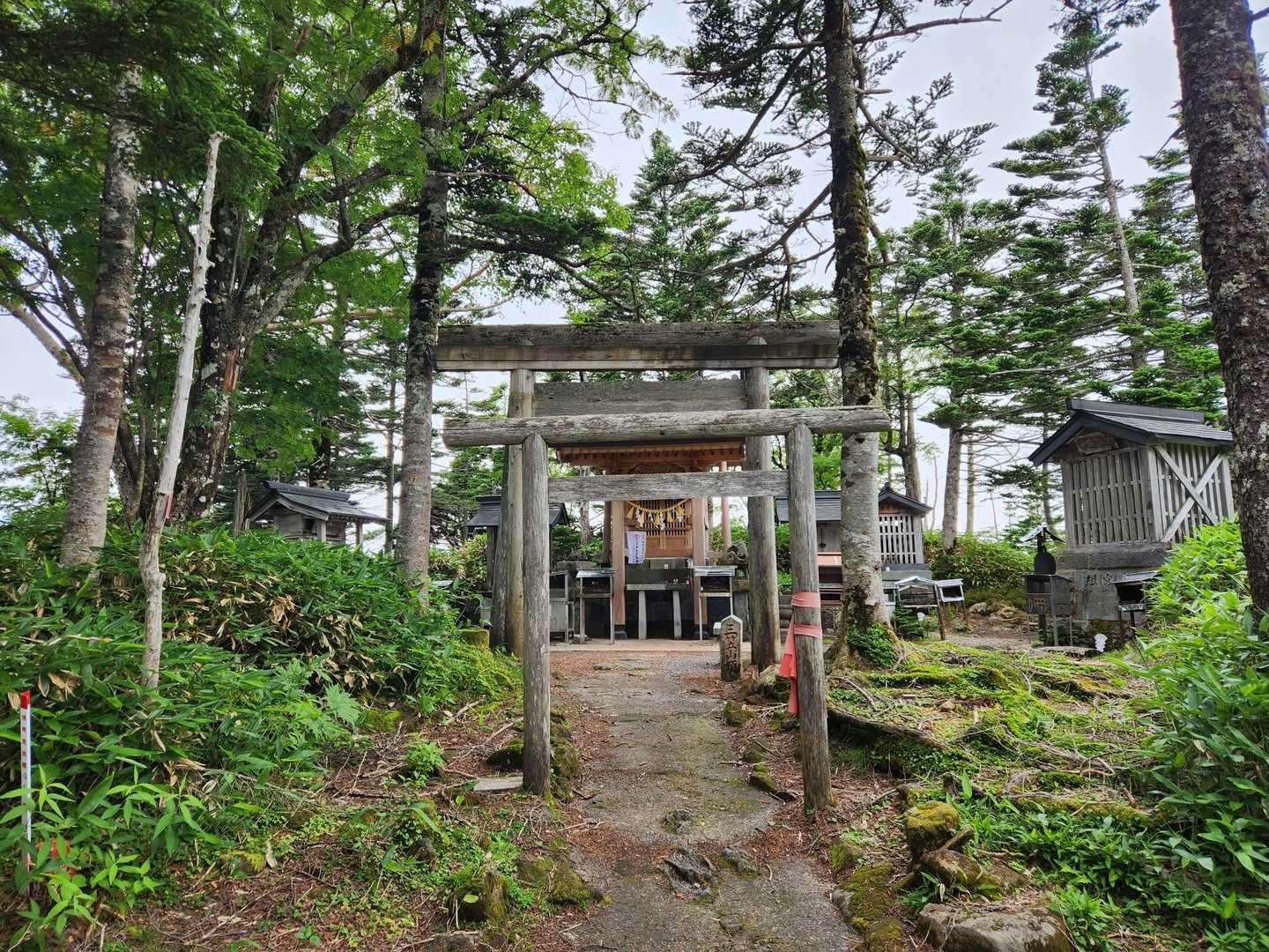 三笠山の山頂に到着。

お手軽登山でYAMAP最高所を更新（人生最高所は学校登山で登った常念岳です）。