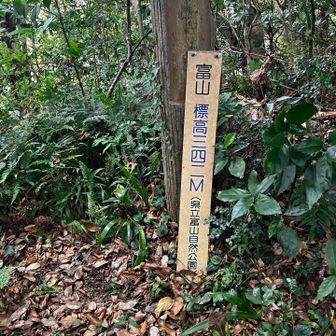 南峰までは意外と近い