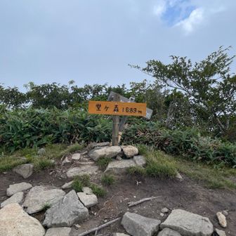 なんとか堂ヶ森山頂に着きました