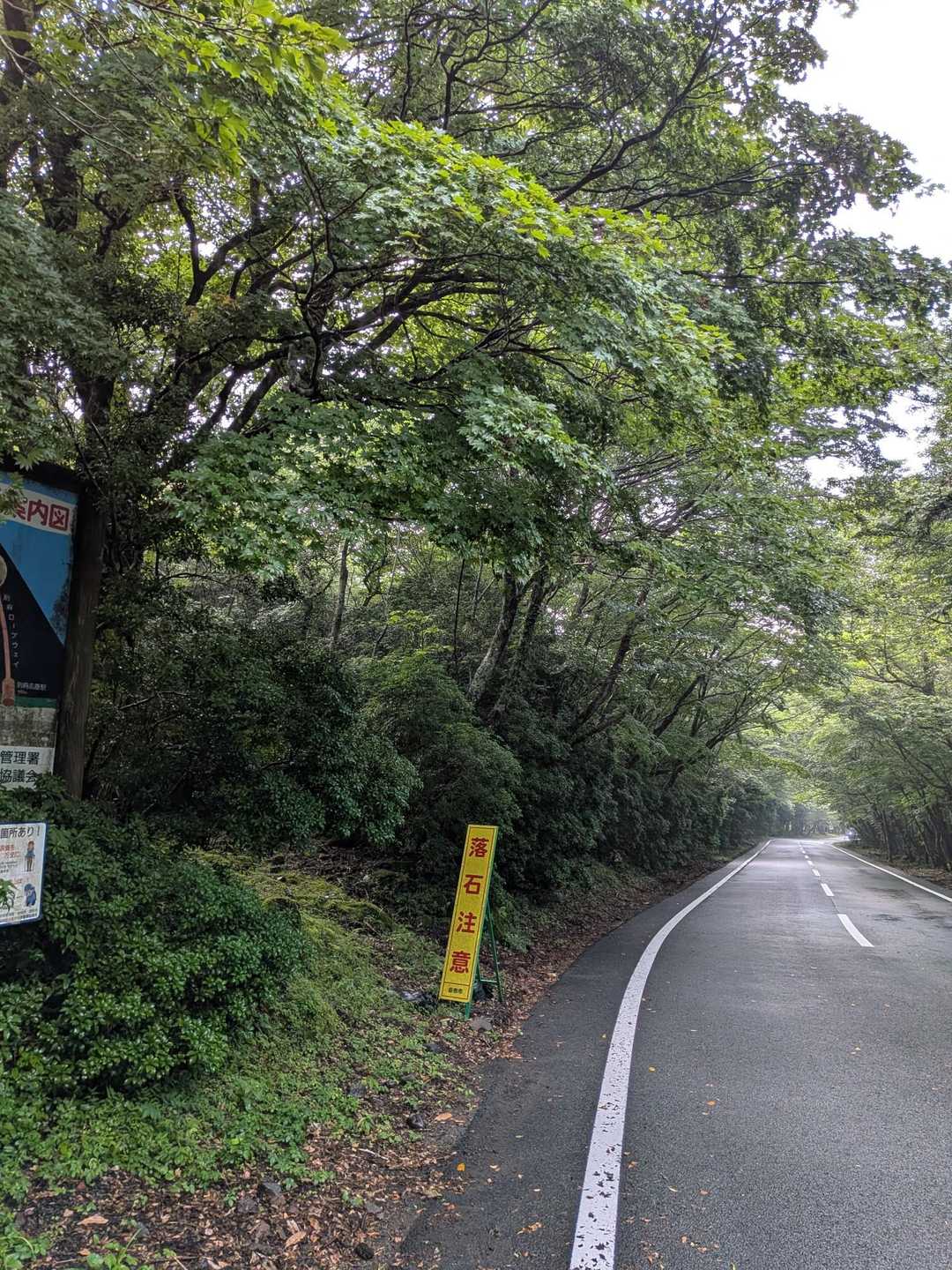登山道じゃないとこ歩いて2回コケましたが、怪我なく無事下山できました💦感謝🙏