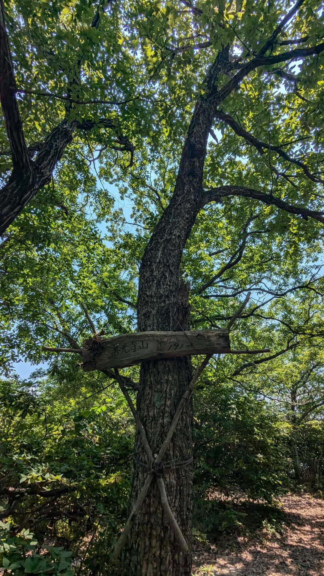 登頂