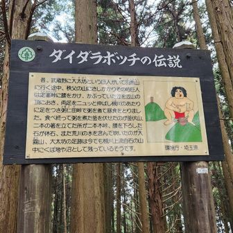 旧定峰峠に到着。