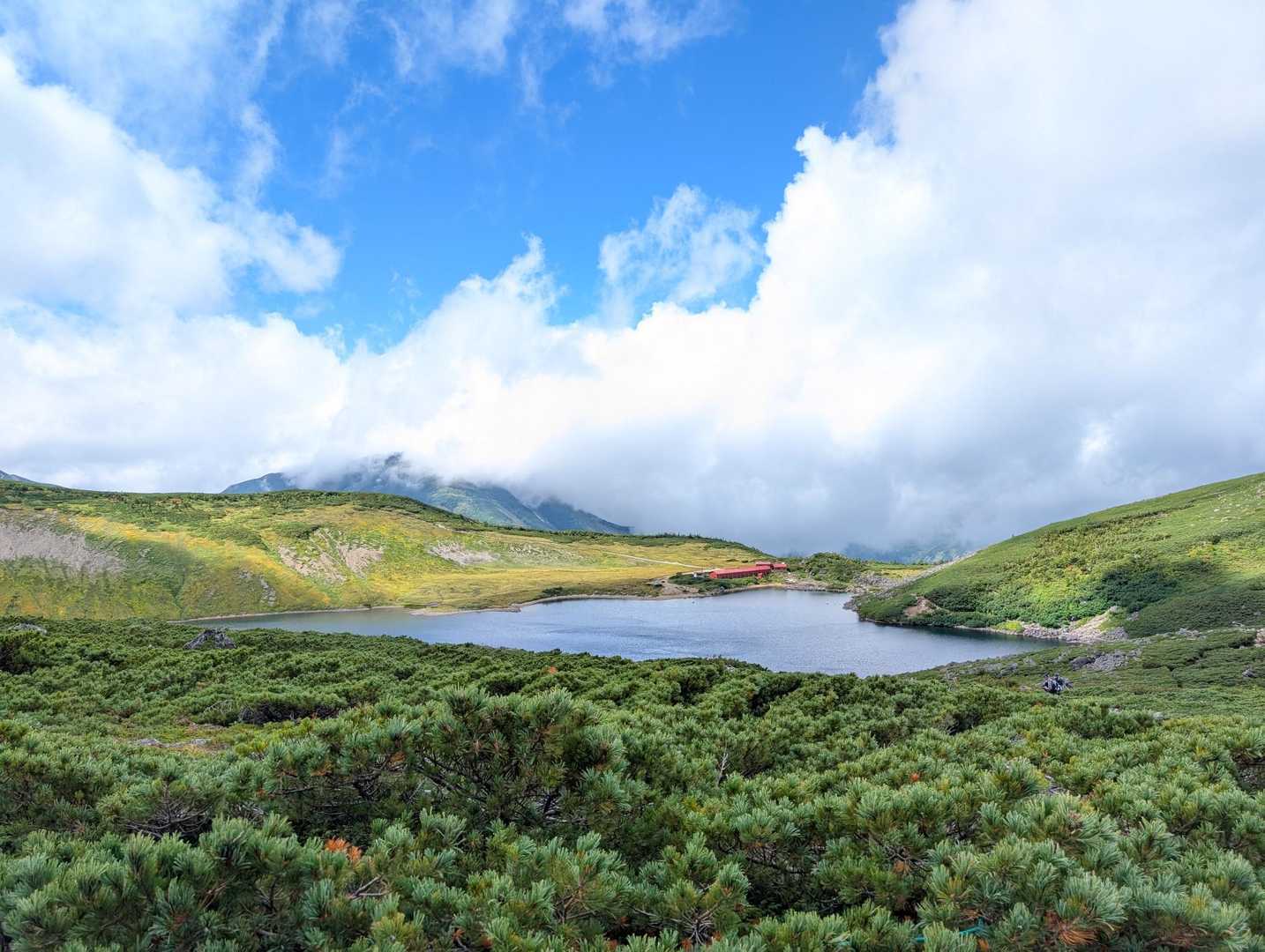 遠くには白馬大池、大池山荘が見えます！
残念ながらここまでは行かず眺めるだけ💦