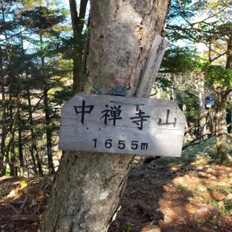 中禅寺山山頂に到着。
特に何もないので通り過ぎます。