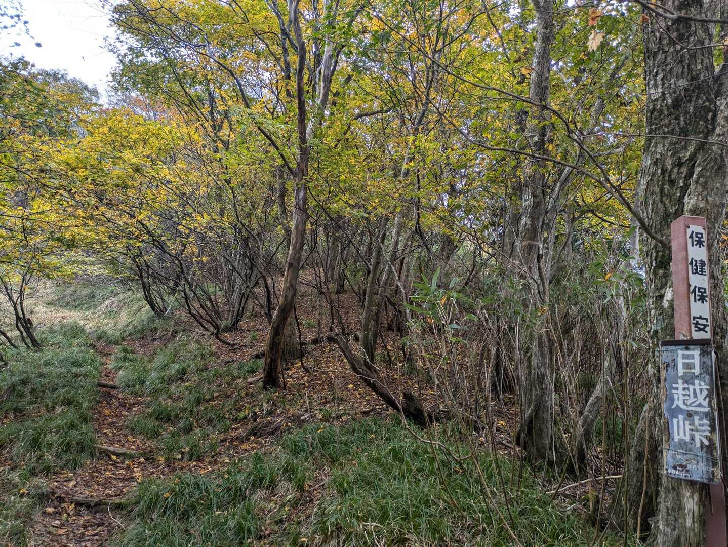 貝月山 往復コースの写真