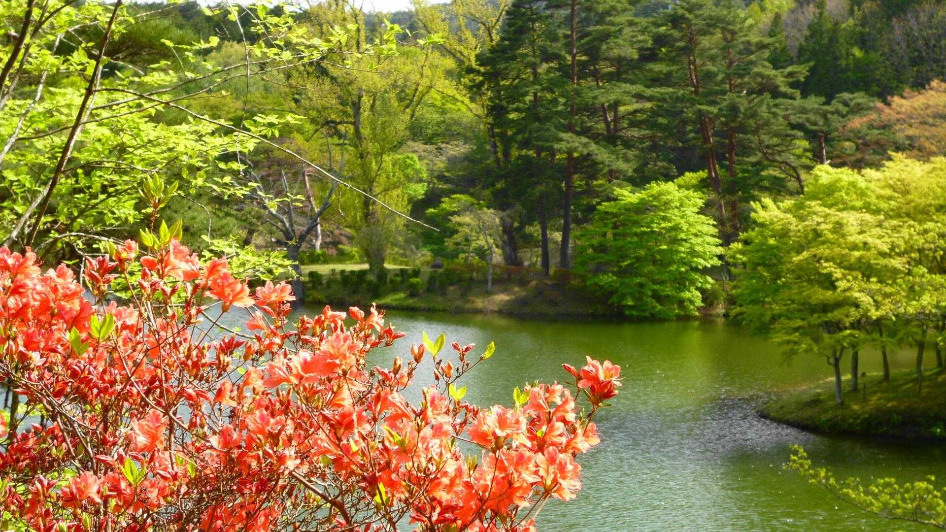 半田山 周回コースの写真