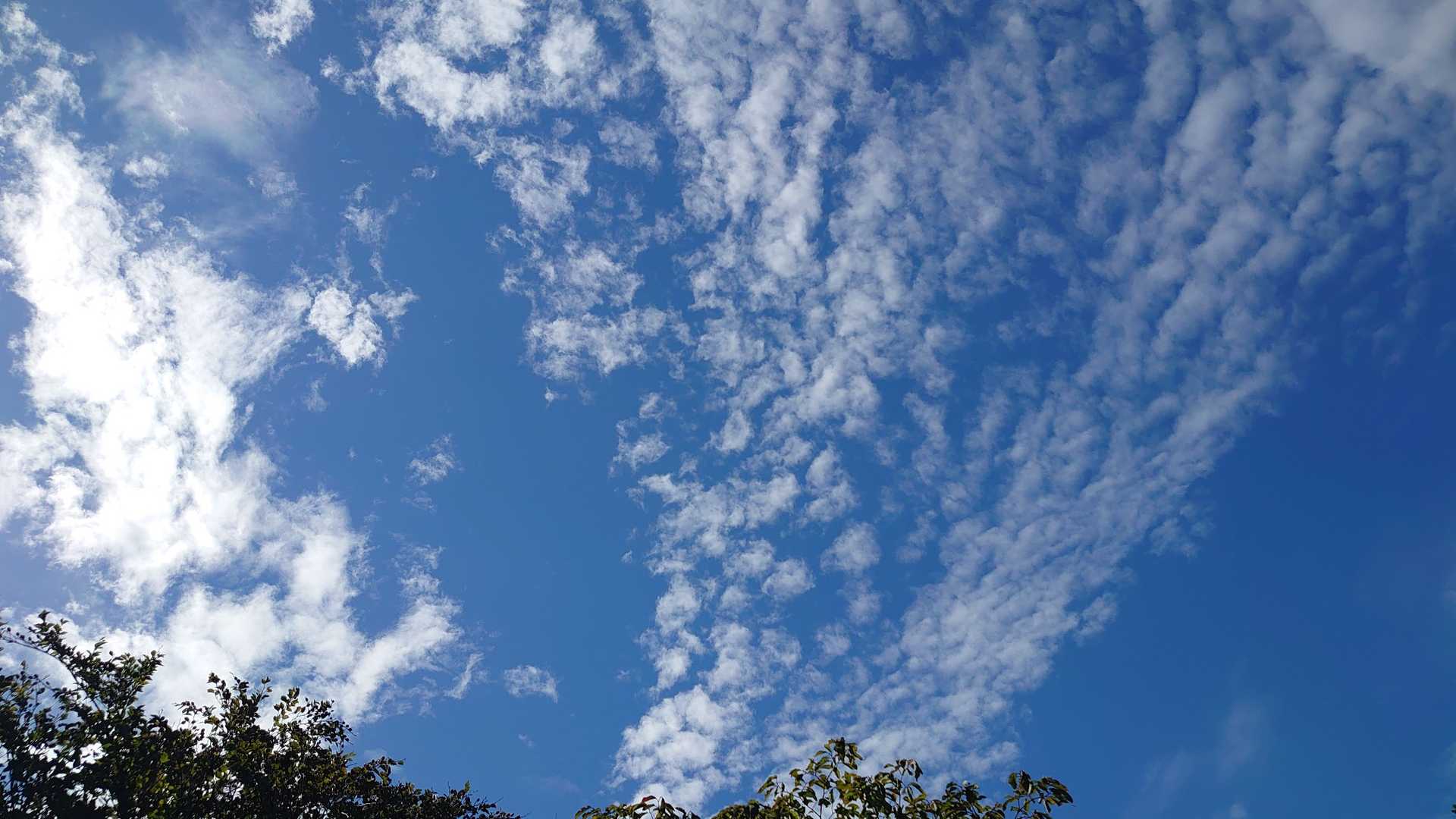 秋を感じる青空の下☺️