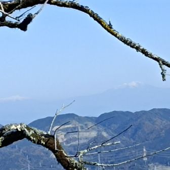 遠くに雪山が見えます
御嶽山かなぁ？