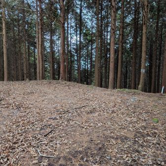 ここがYAMAP地図上の笠取山山頂