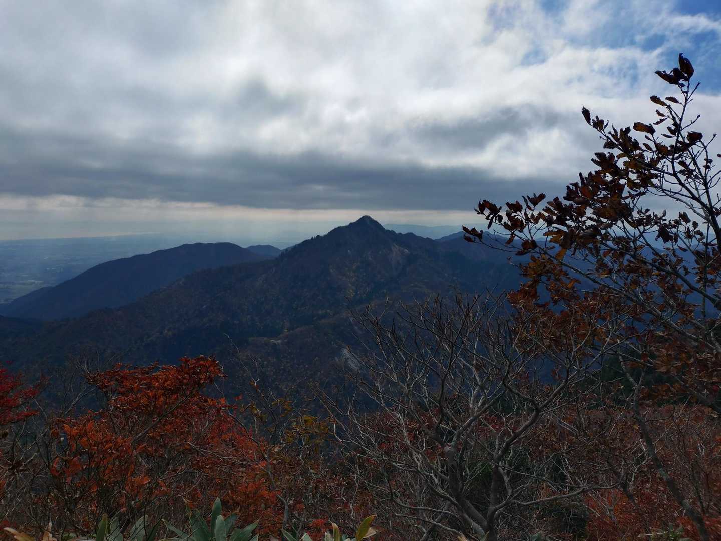 美しい鎌のお姿😊
かっこよすぎる