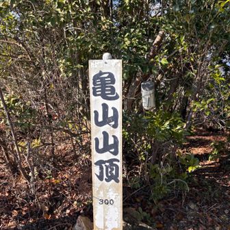 最初のピーク、亀山山頂です