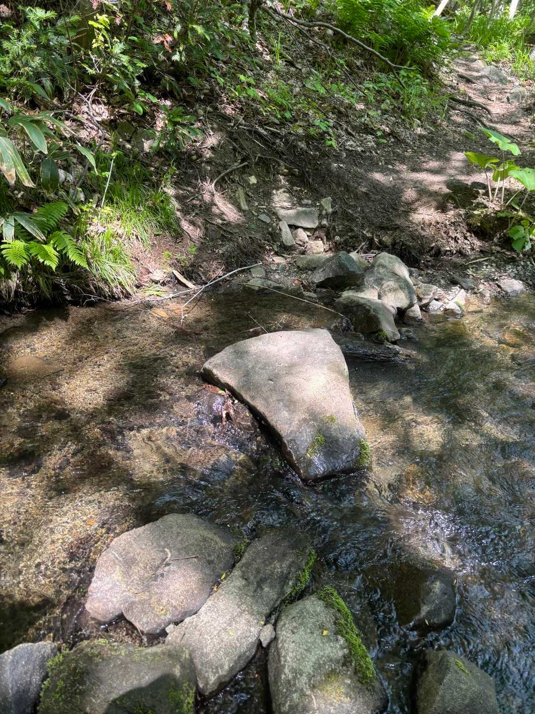渡渉地点
水量もだいぶ減りました、楽ちんです
今日も気持ちよく歩けました
ありがとございました
