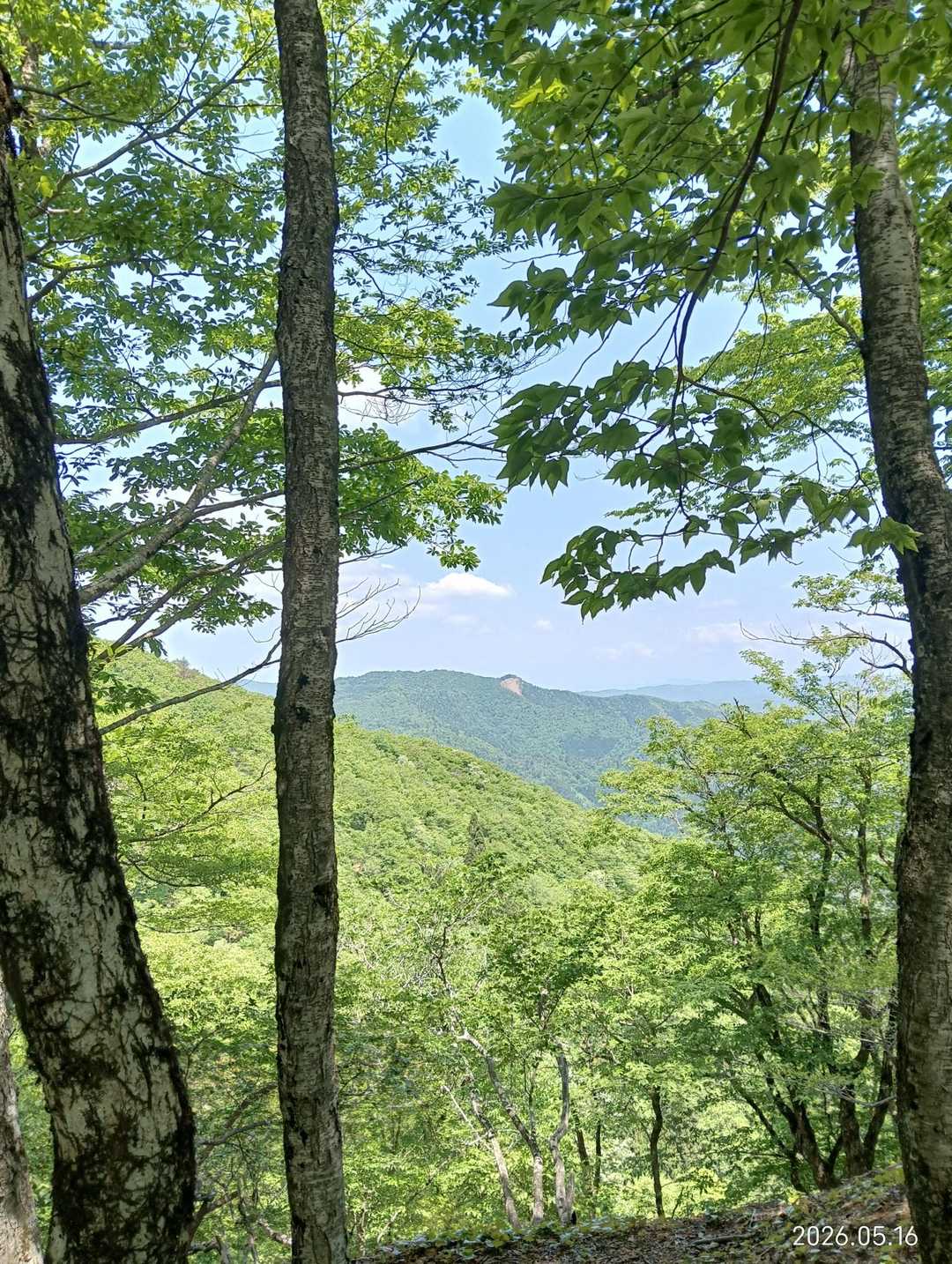 尾根から見える景色はこの程度
疲れが癒えない
