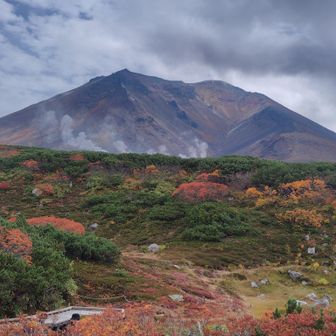 姿見駅からすぐこの絶景。観光だったら黒岳より手軽に絶景が見られます。