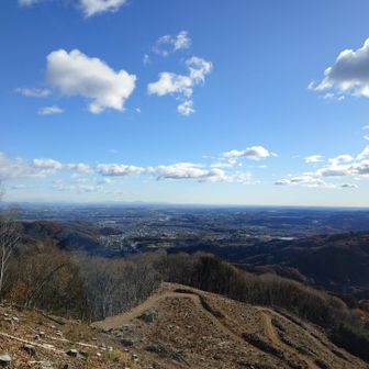 木が伐採されて眺望はいいですが（現在も作業中）ここにソーラーパネルを設置するとしたら残念です💭