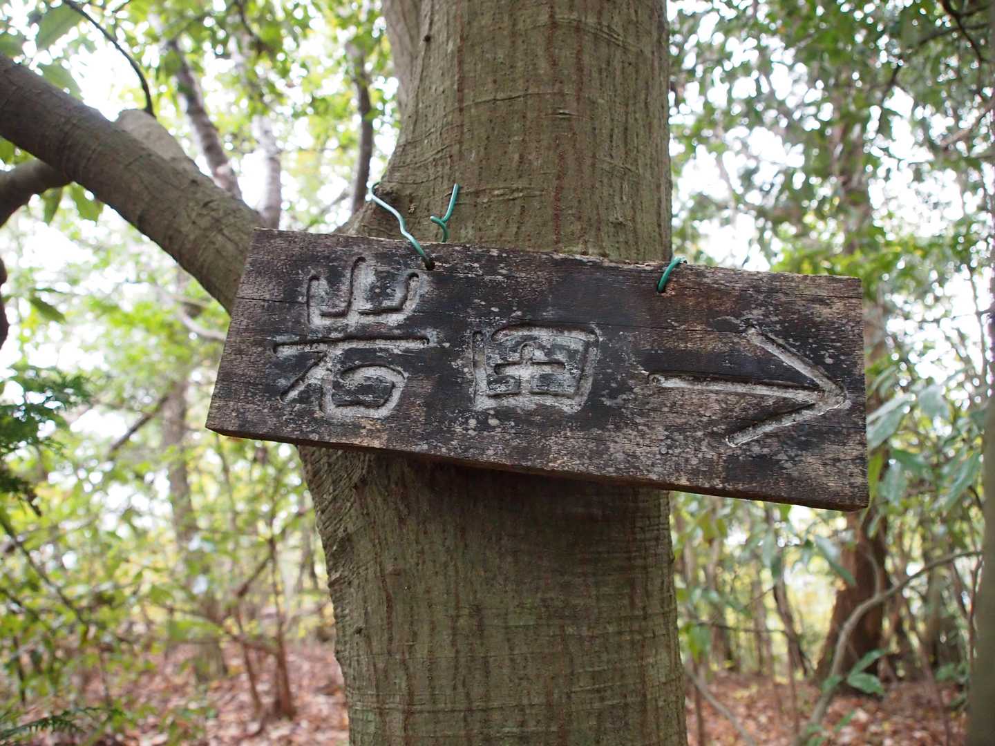 来た道方向に矢印
もしかして通り過ぎたか！
