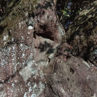 おじょもの足跡