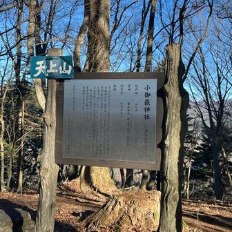 ロープウェイ駅から天上山まで登る観光者はまばらでしたが、それでも賑やかでした。ここから先は静かな山歩きが楽しめました。