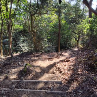 七三峠への道。見通し良くなってます。