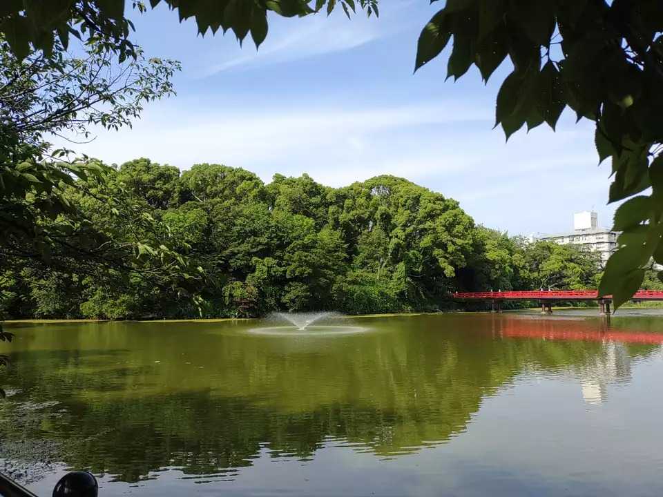 茶臼山の写真