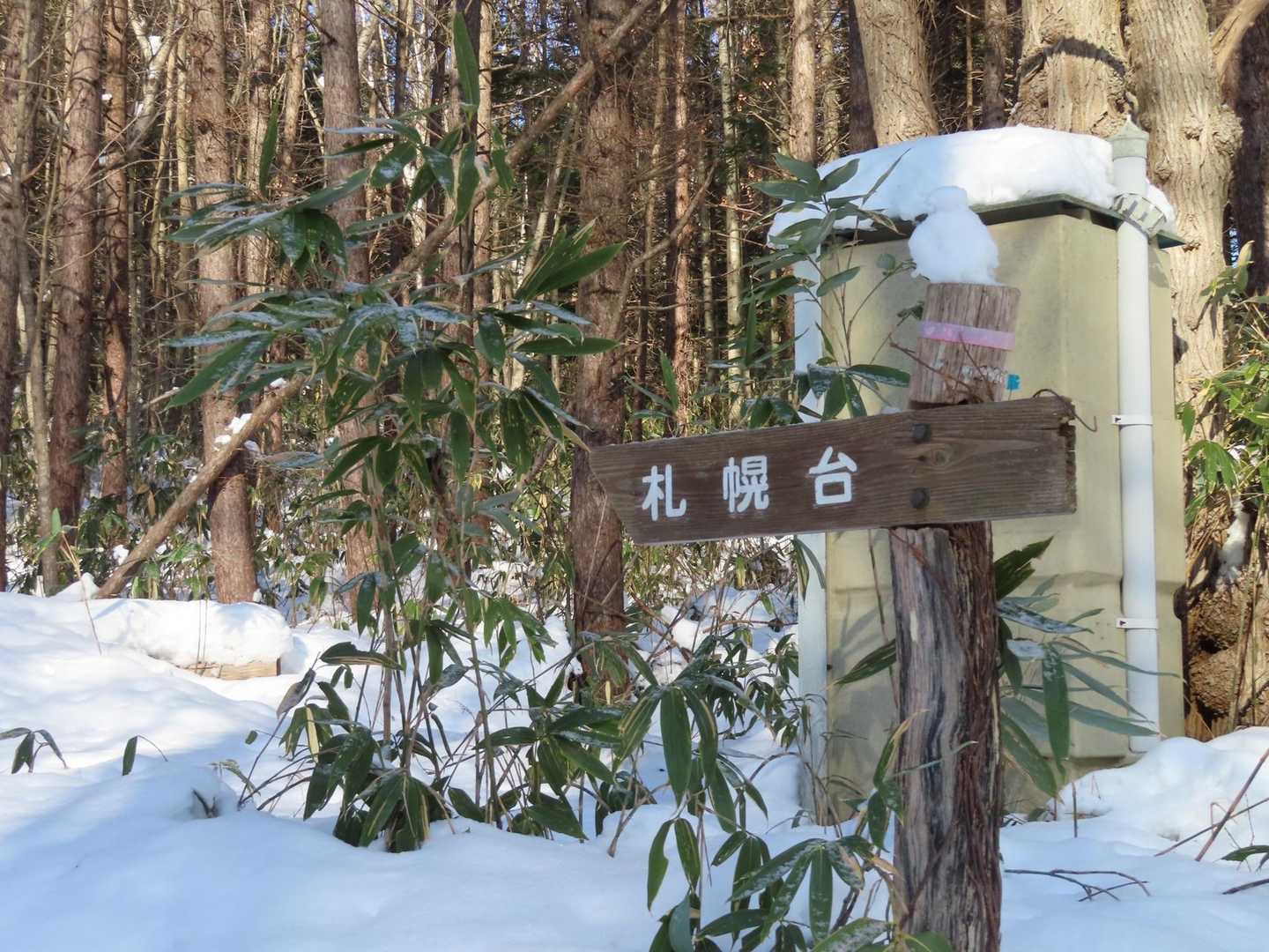 スキ-の大会があるので2ヶ所スキ-ヤ-が途切れたときに横切りました！緊張笑笑　無事に横切ってまずは札幌台目指します！