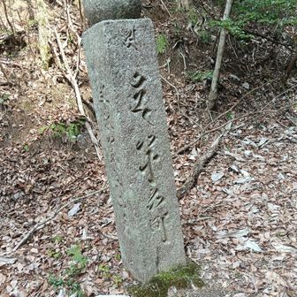 半分くらいきたかなー