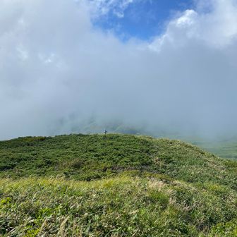 月山森の山頂から少し下ると絶景ポイントがあります
短いですが足元見えない藪です