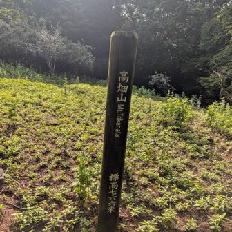 第1ピーク高畑山　ちょうどヤビツ峠くらいの標高でした